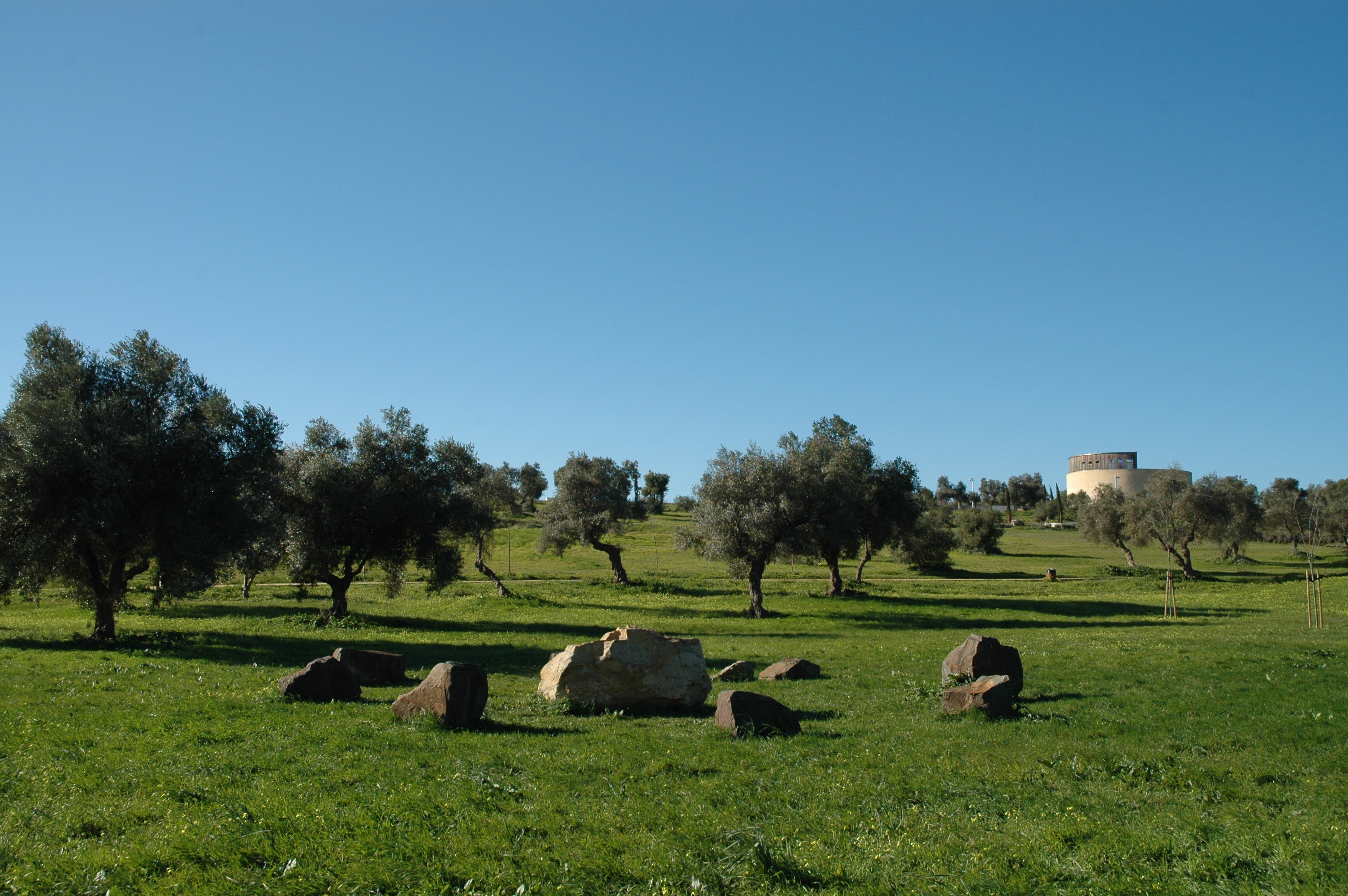 Fotografía de referencia: olivos del Parque Olivar del Zaudín; no es el jardín de la villa.